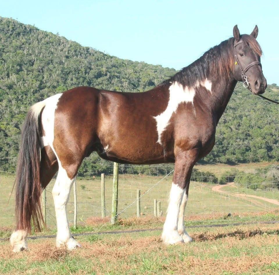 Azaliah Maximus standing in profile