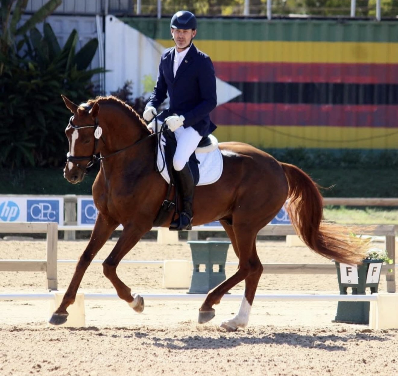 Alpha Baringo competing in dressage
